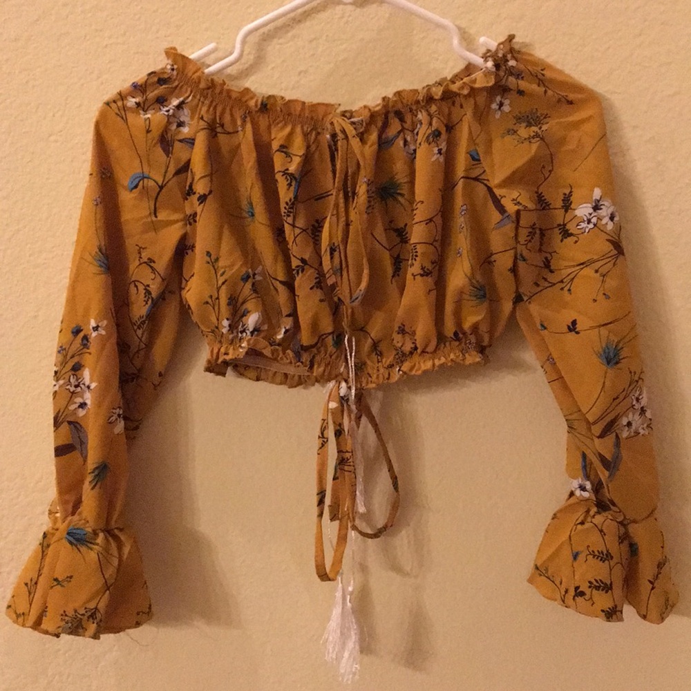 Long sleeved crop top